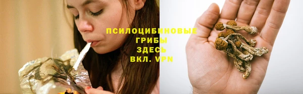 хмурый Карталы